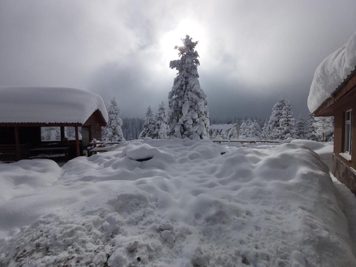 Elifim Resort Hotel Bolu Eksteriør billede