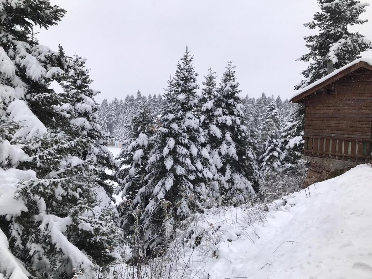 Elifim Resort Hotel Bolu Eksteriør billede